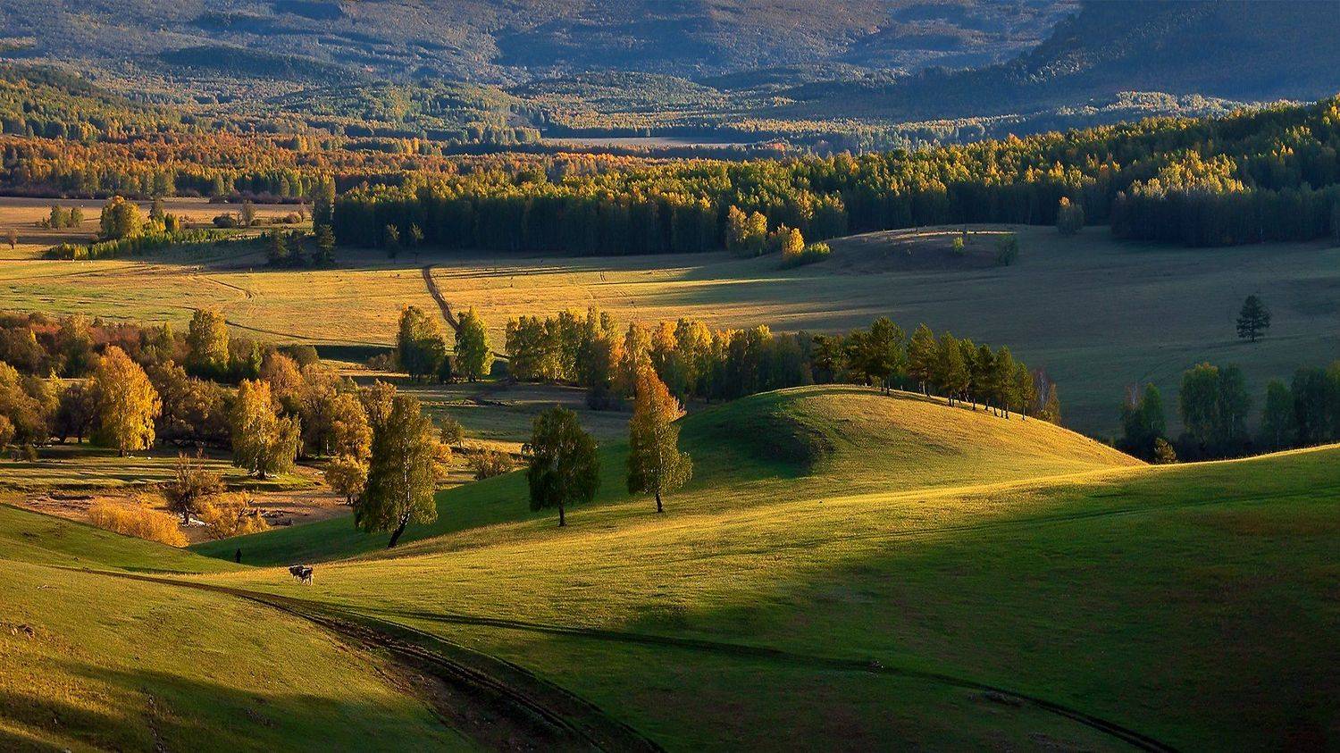 , Леонид Максименко