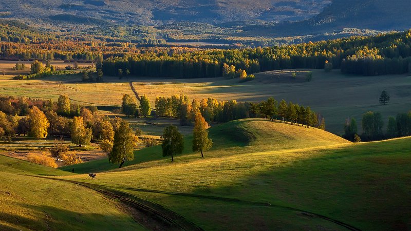 Золото осени фото превью