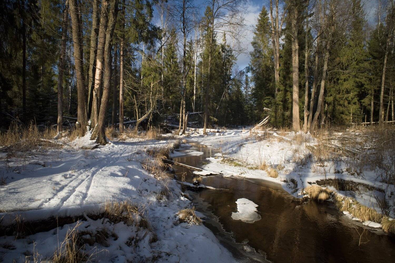 зиа.лес,снег,река, Виталий Полуэктов