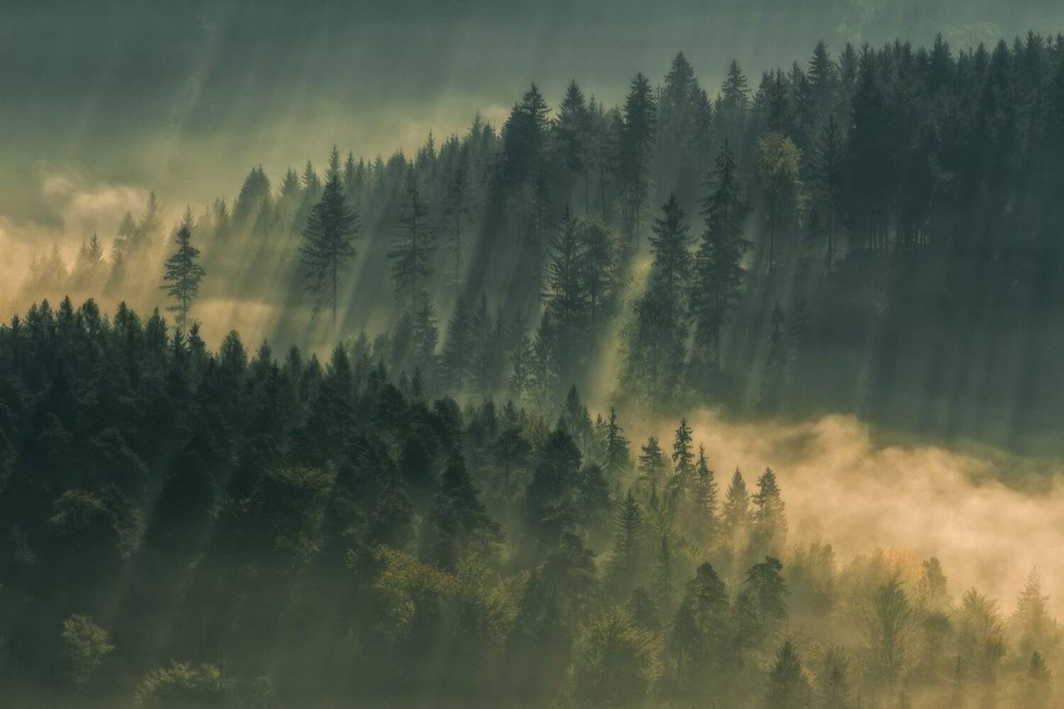 winter,mountains,canon,sunrise,mist, Iza i Darek Mitręga