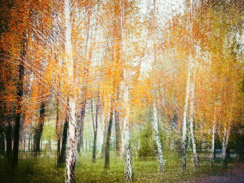 Осенняя... фото превью