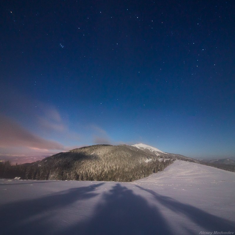 карпаты, украина, горганы, синяк, полонина хом\'яків *** фото превью