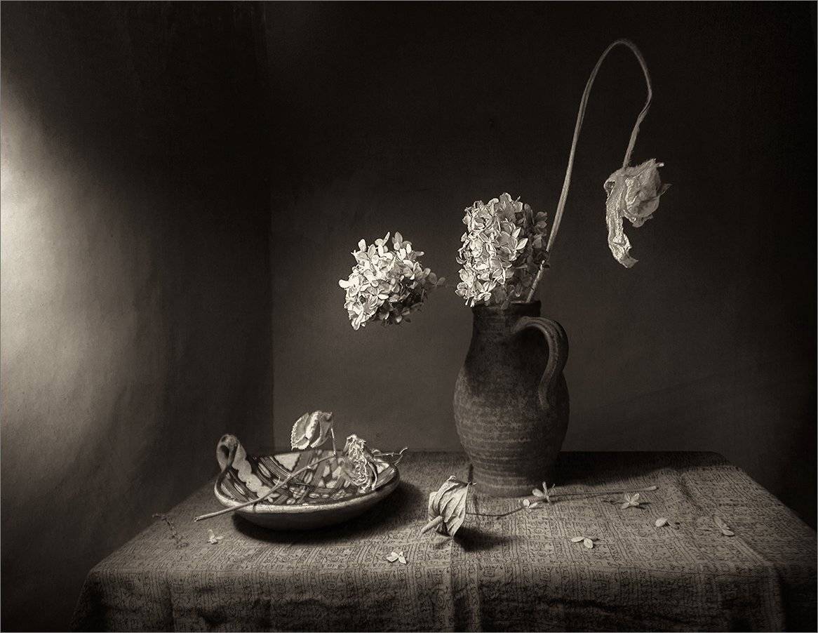 , Stein Georg