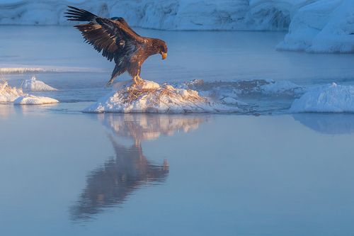 Вечерний поклон