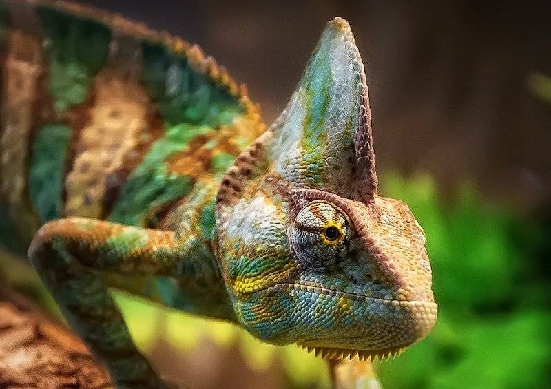 краснодар,кубань,россия, Павел Сагайдак