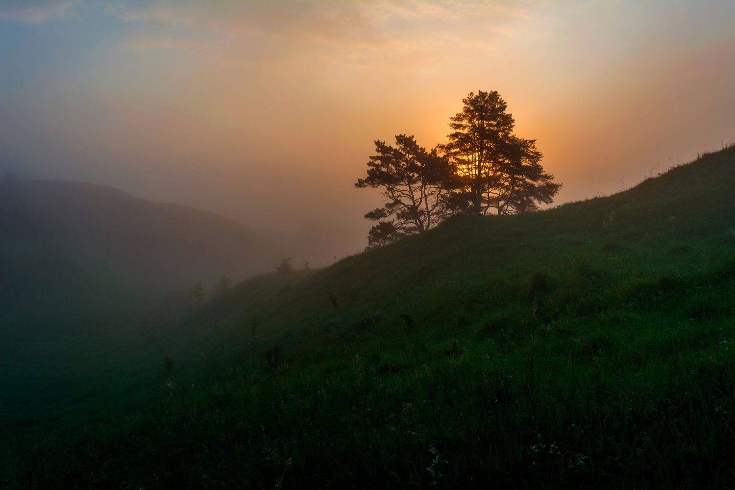 рассвет,туман,район села архангельское, Александр Литвишко