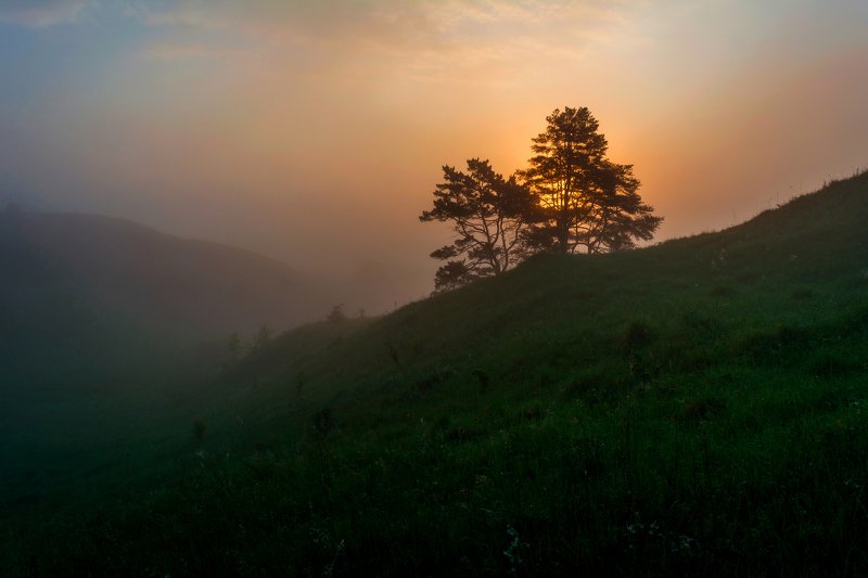 рассвет,туман,район села архангельское *** фото превью