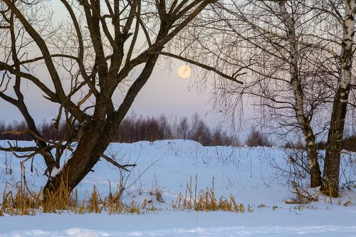 Притяжение полнолуния