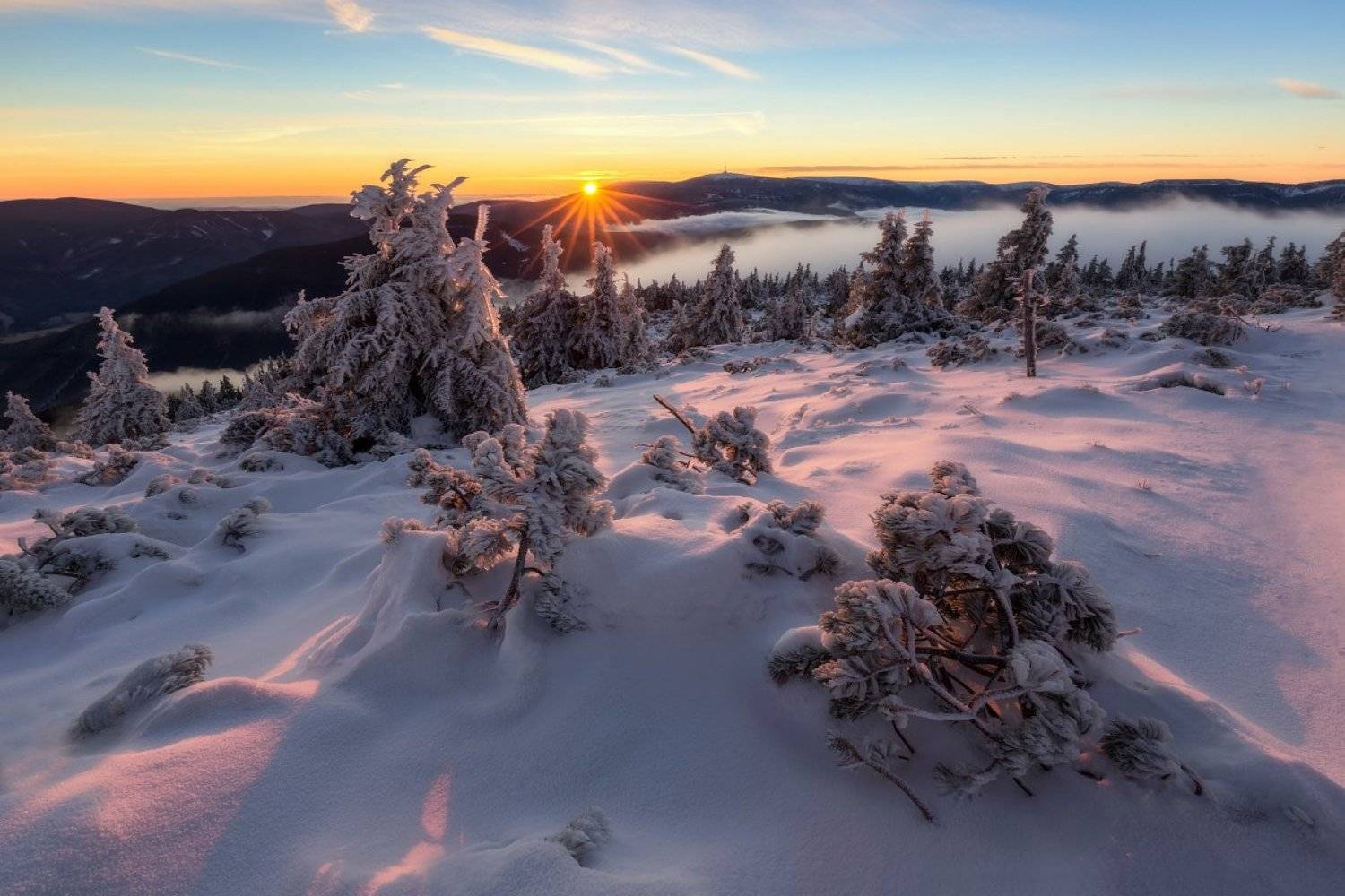 landscape, tree, sunrise, panorama, fog, Petr Fiala