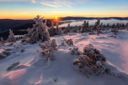 Winter Morning in Jeseníky