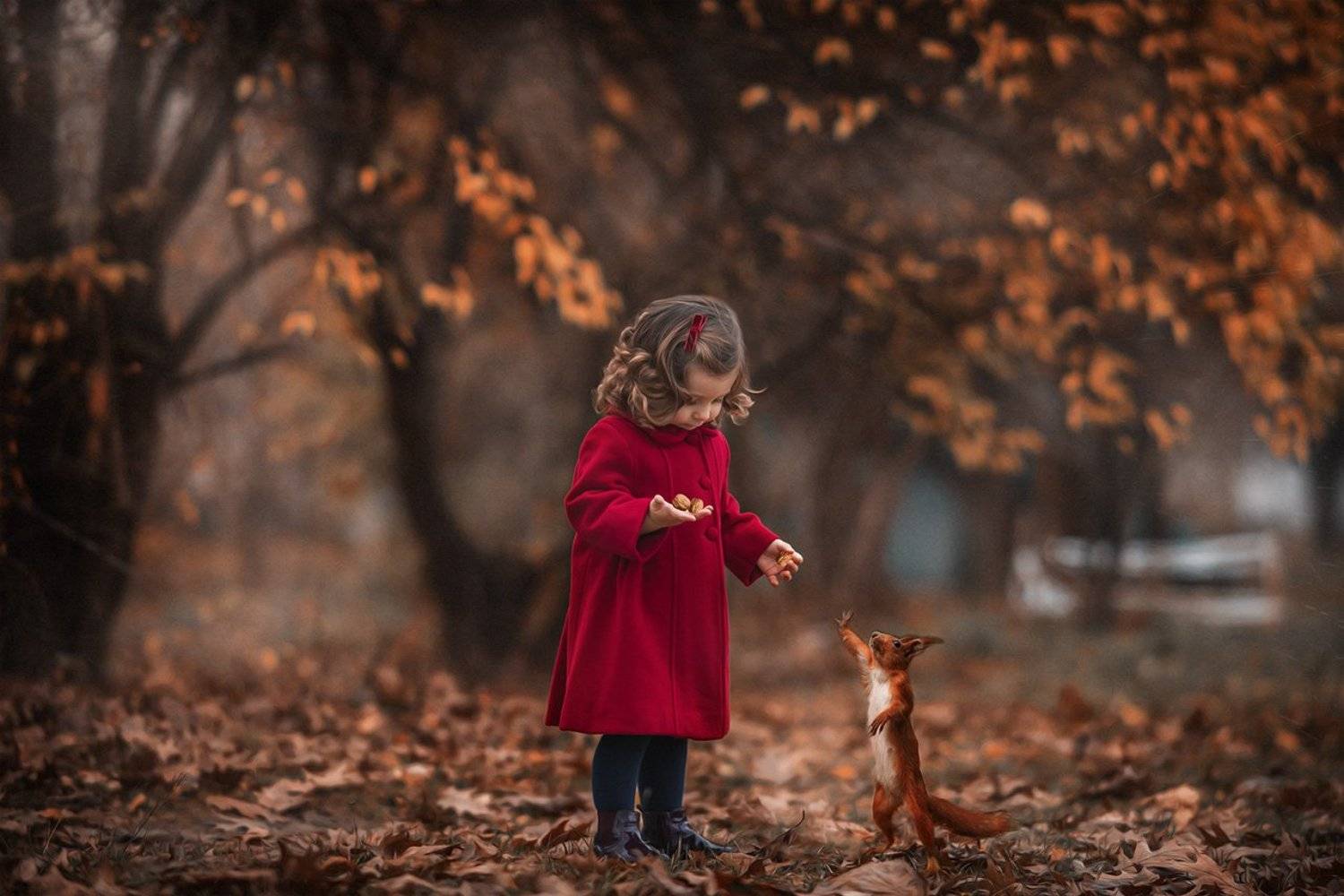 , Ильяс Джелялов