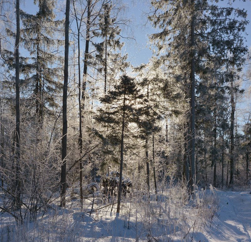 Иней фото превью