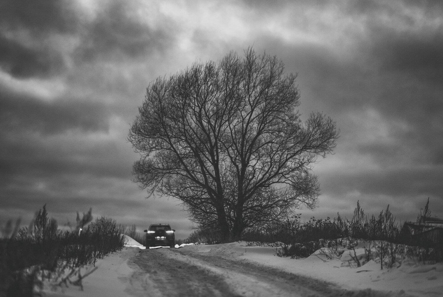 , Константин Дэм