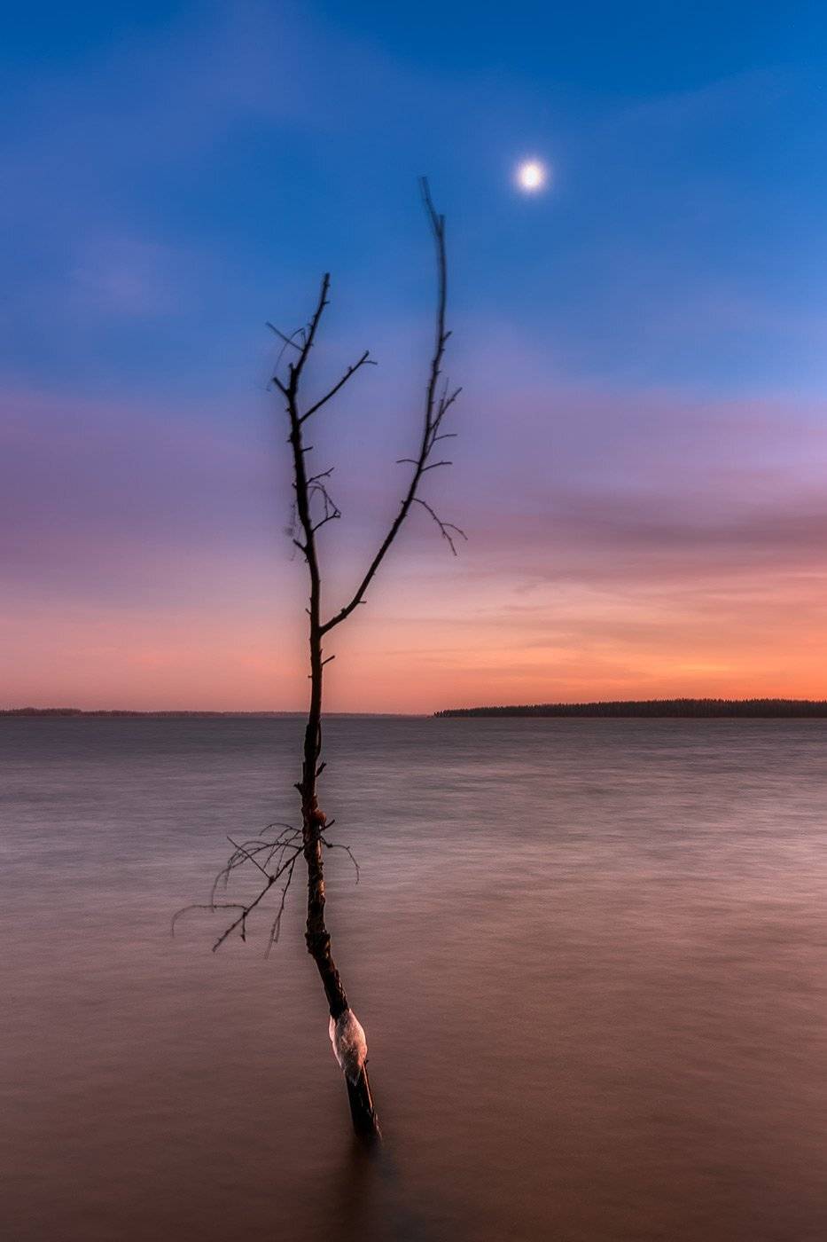 , Федотов Антон