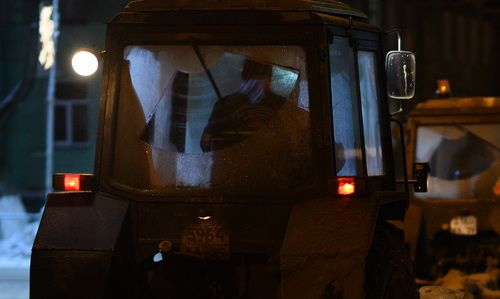 Ночные бабочки