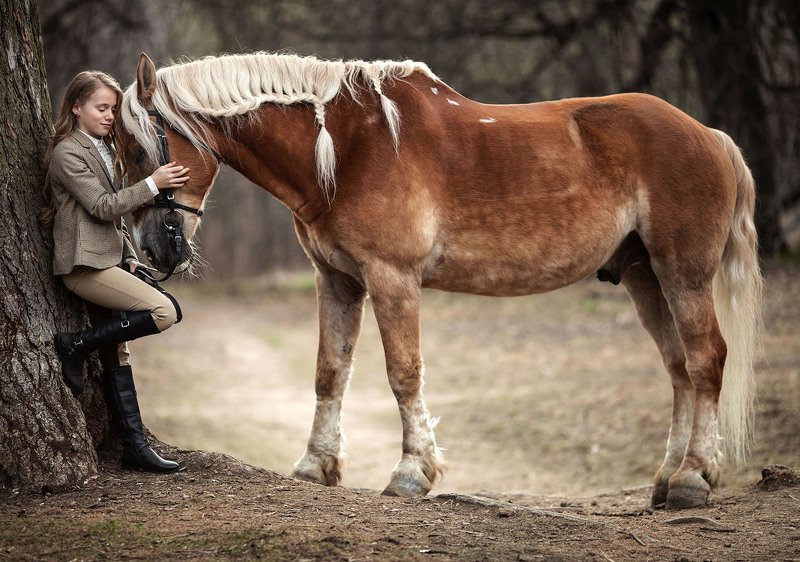 девочка,красотка, встреча,лошадь,сюжет, прогулка, girl, beautiful, horse, nature Встреча... фото превью