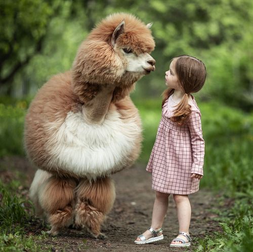 Чудесное знакомство...