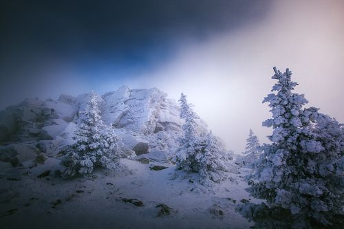 Природа родного края