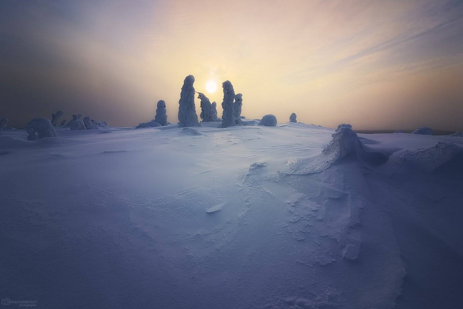 , Антон Кошетаров