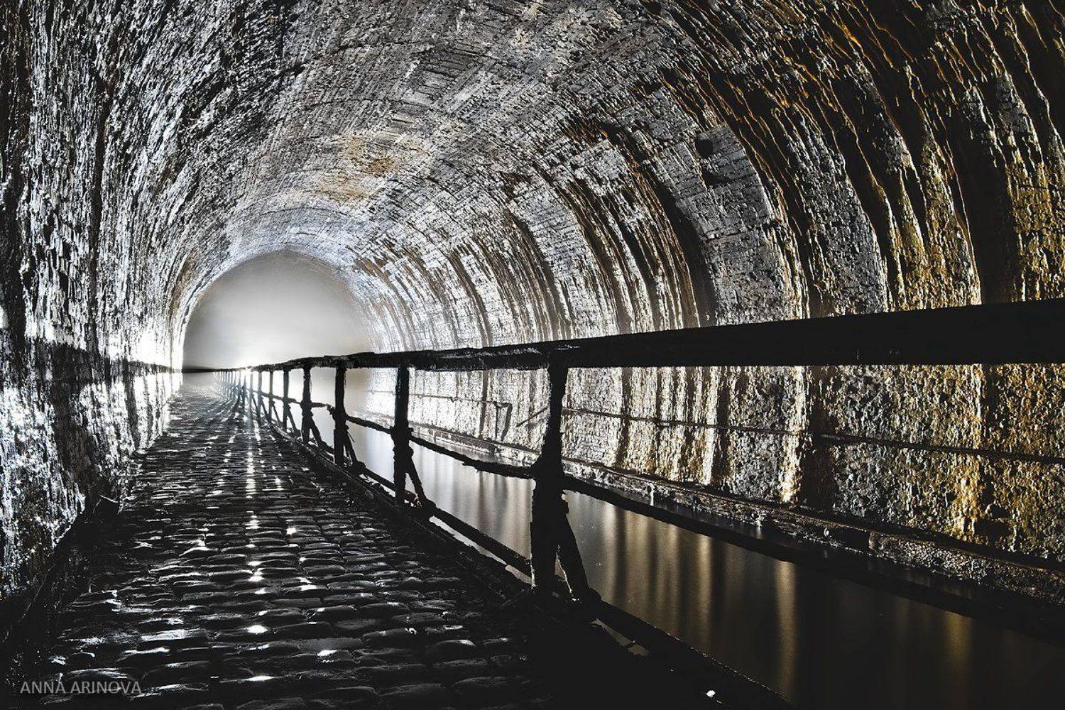 , Анна Аринова