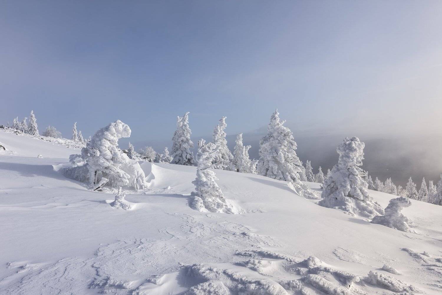 , Андрей Шарапов