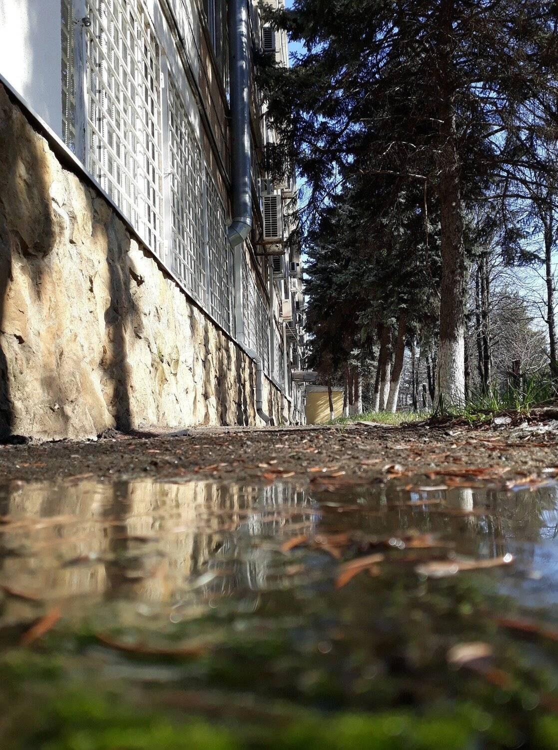 , Владимир Осауленко