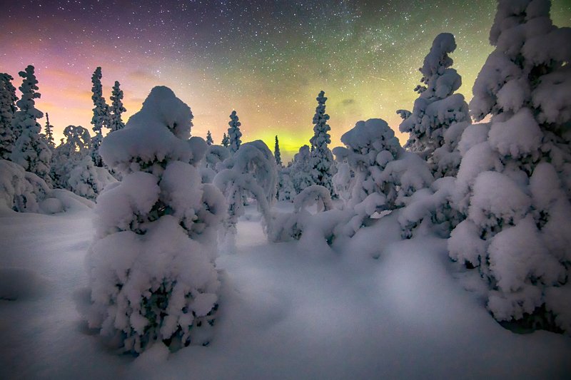 Морозной ночью фото превью