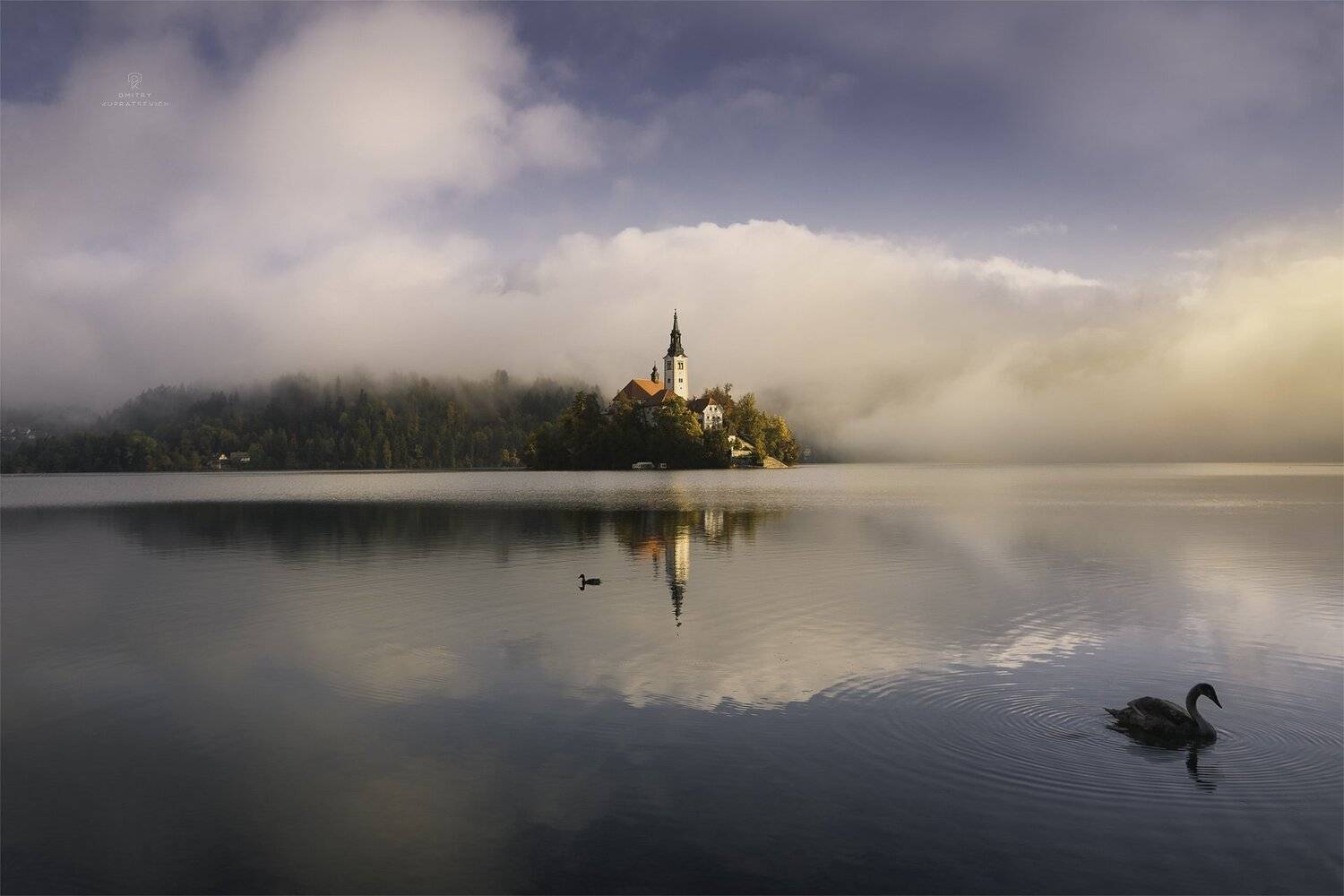 , Дмитрий Купрацевич