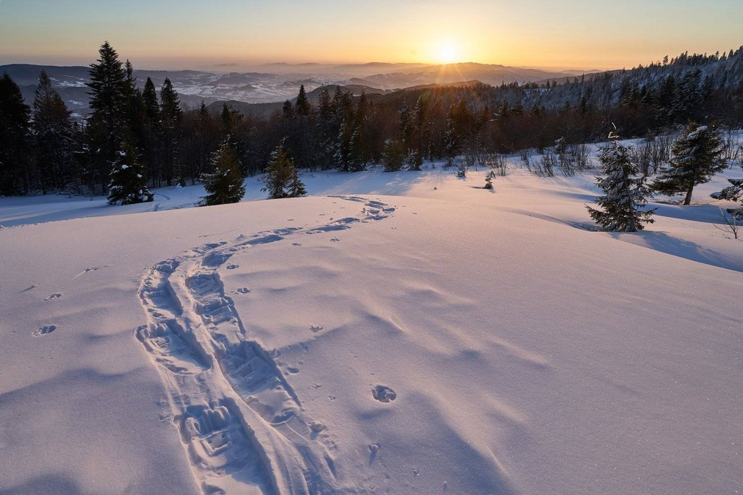 mist,mountains,hut,sunrise,tree,cold,frozen,snow,  Rafal
