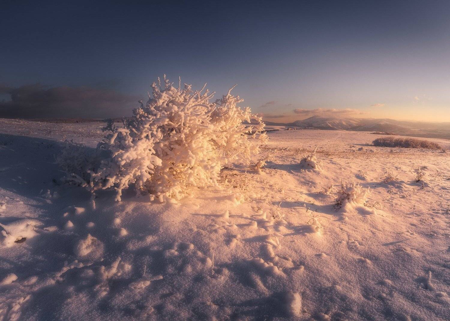 , Oleg Feofanov