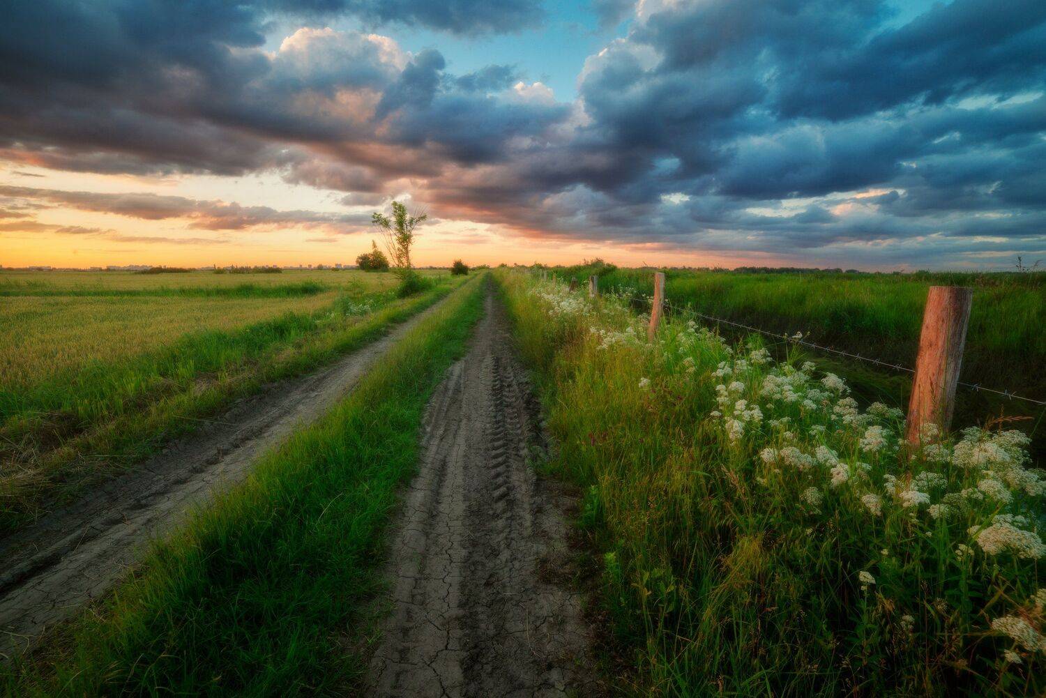 , Alexander Plekhanov