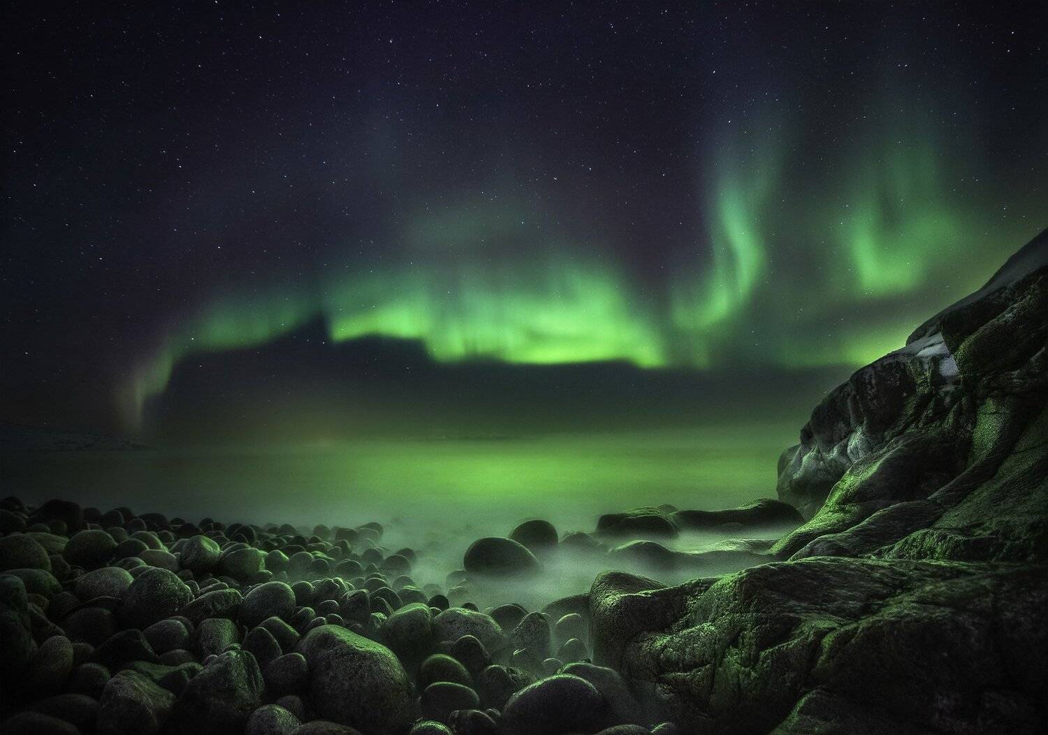 , Елена Ермолина