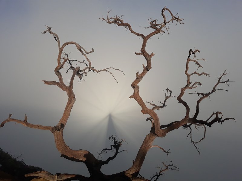 Брокенский призрак фото превью