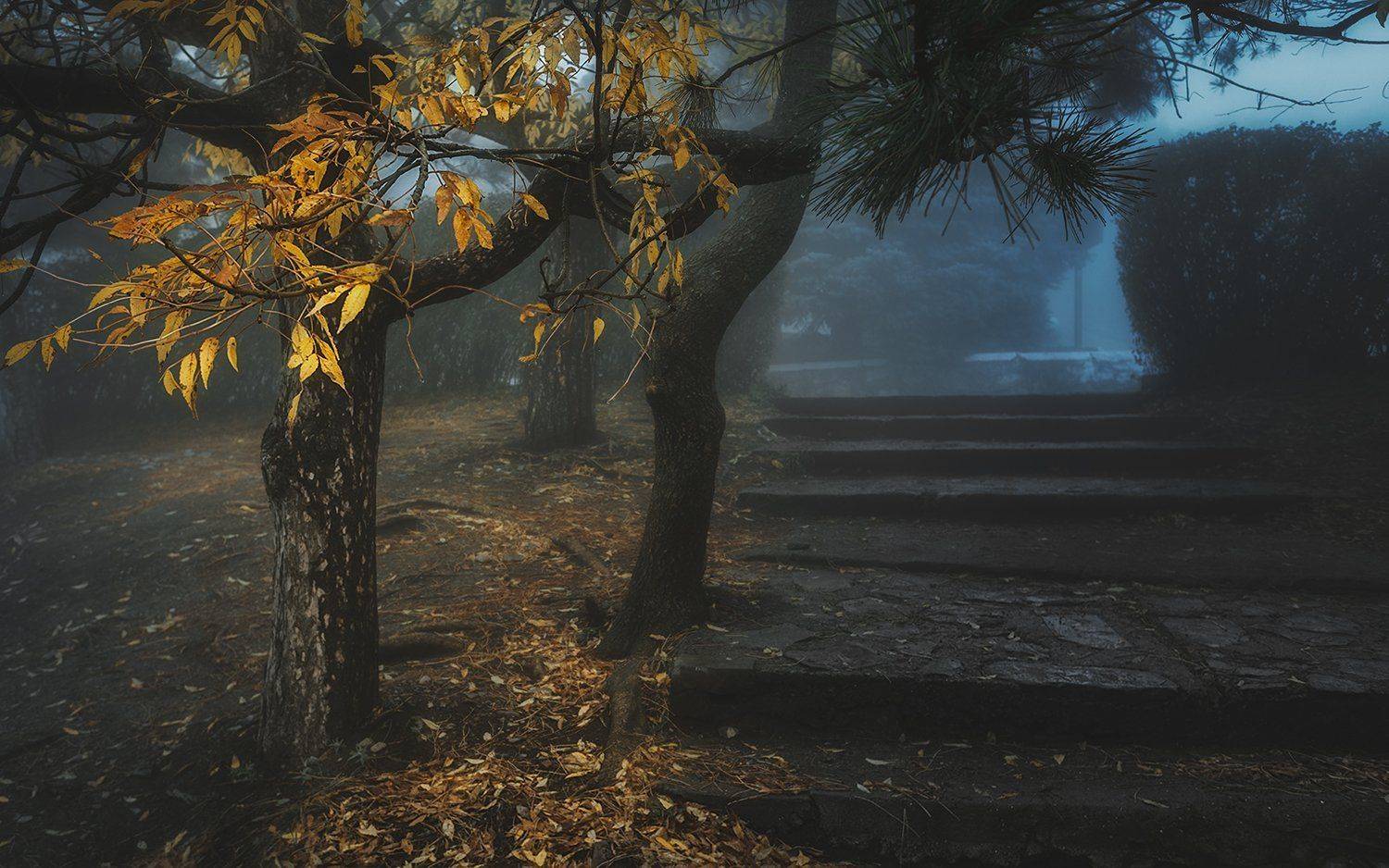 , Олег Дунаев