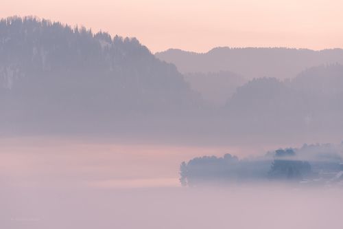Предрассветная Бия...