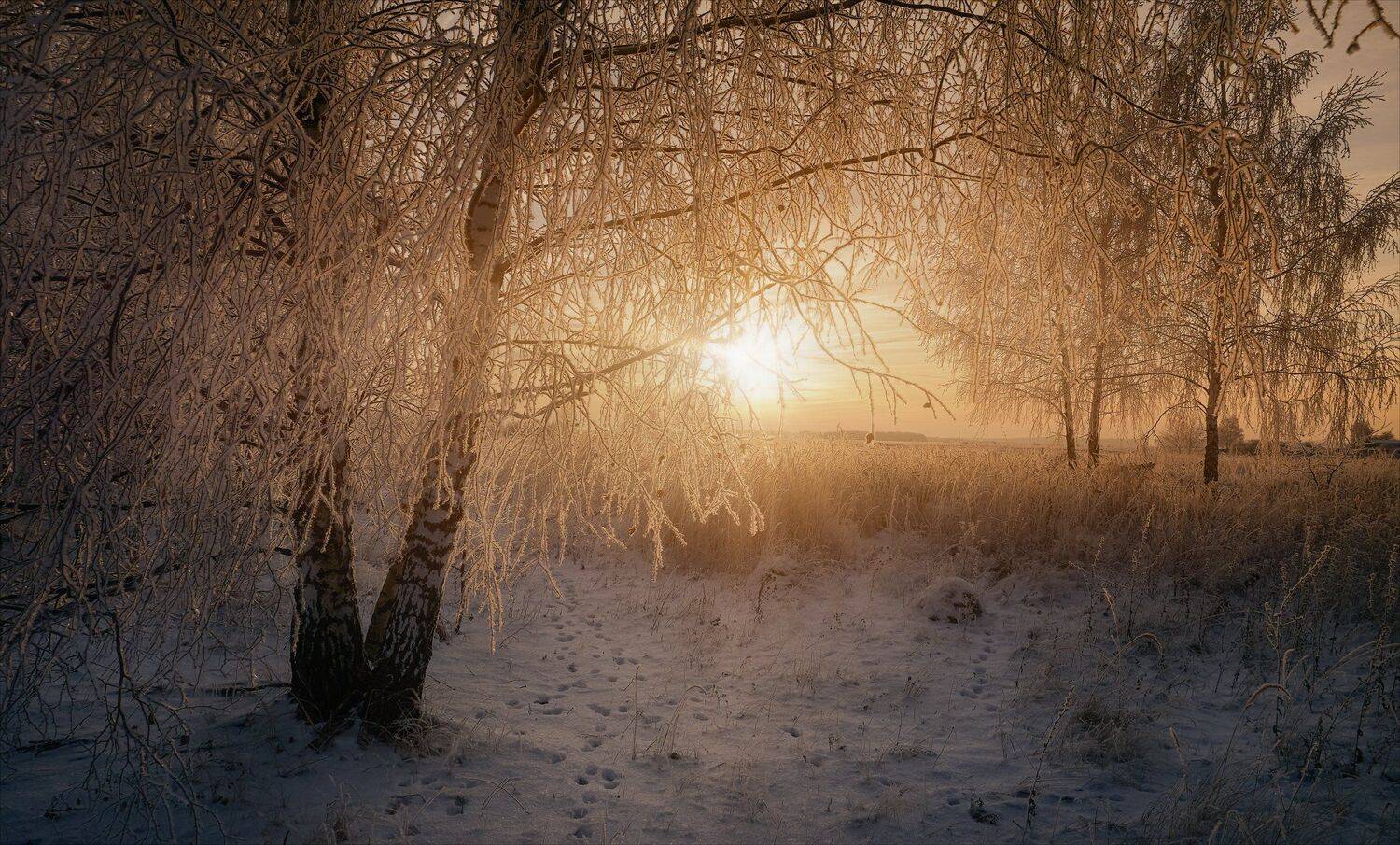 , Алексей Богорянов