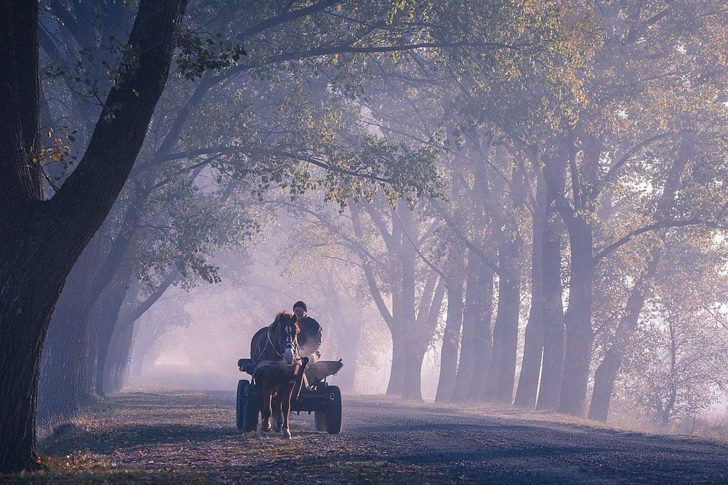 , Вячеслав Мищенко