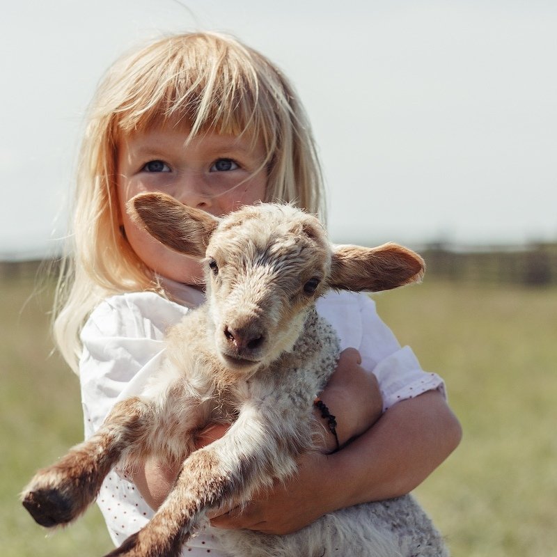 Хутор фото превью