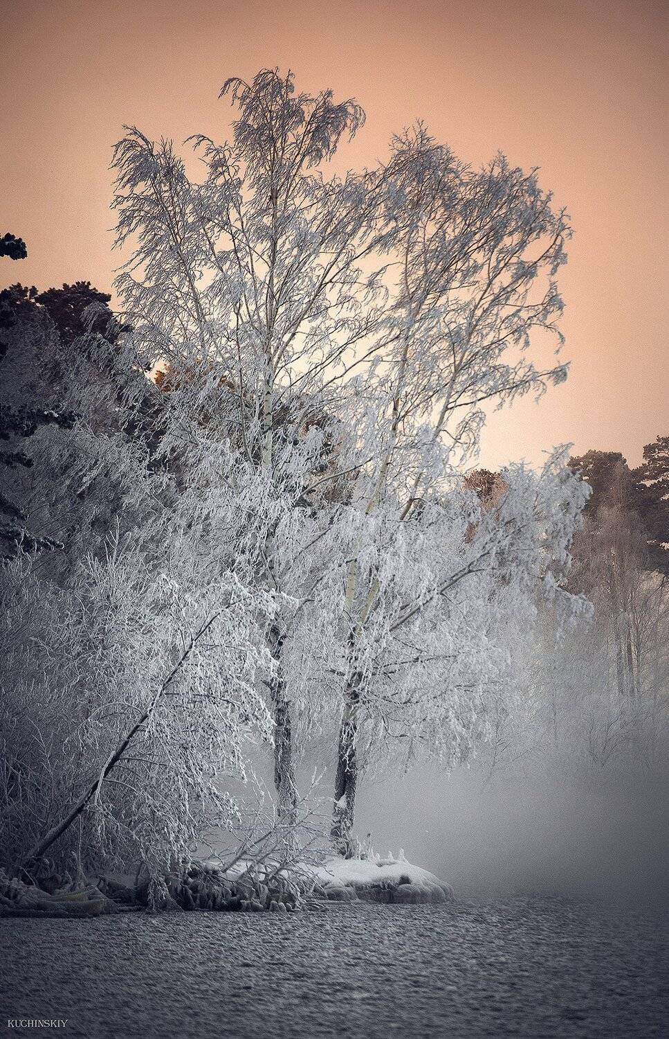 , Валерий Кучинский