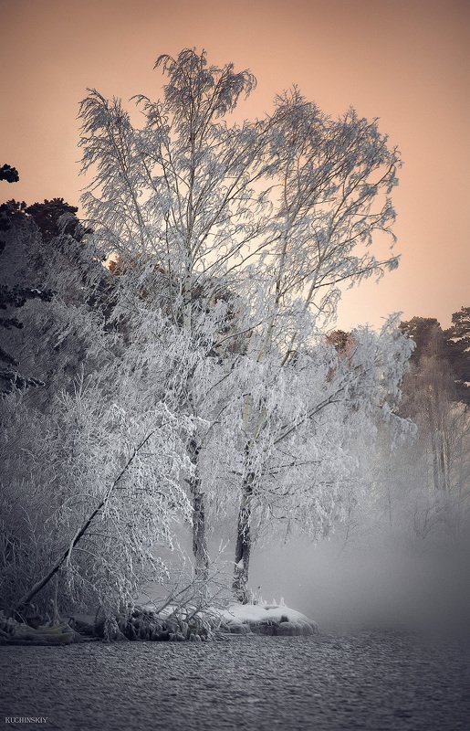 Белая мгла фото превью