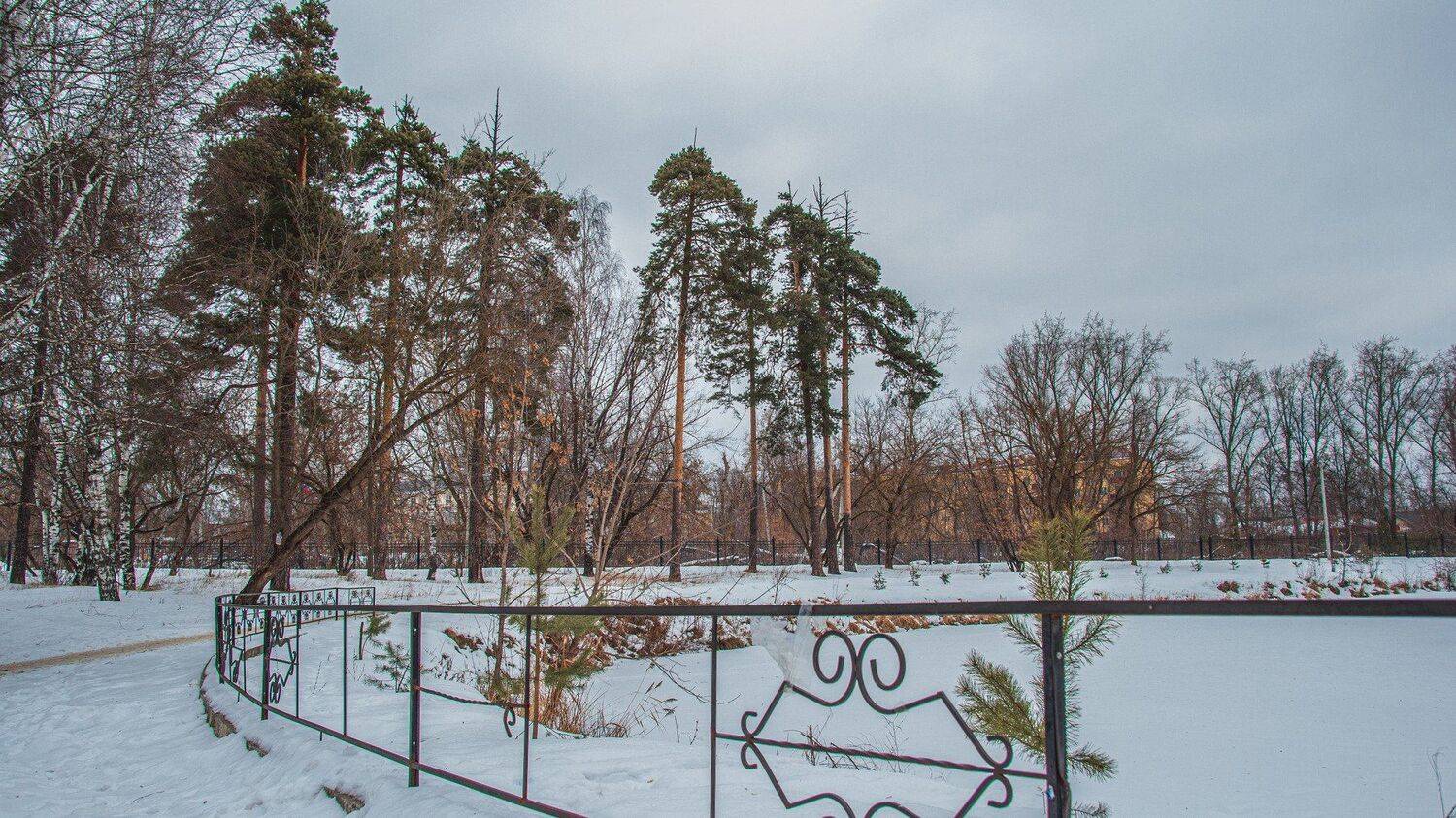 пейзаж, кулебаки, landscape, winter, зима, деревья, сосны, снег, snow, парк, релакс, Владимир Васильев