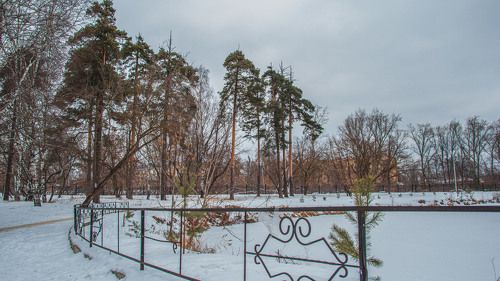 В городском парке...