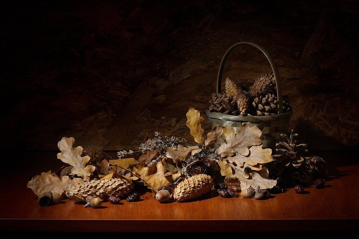 , Геннадий Петрущенко