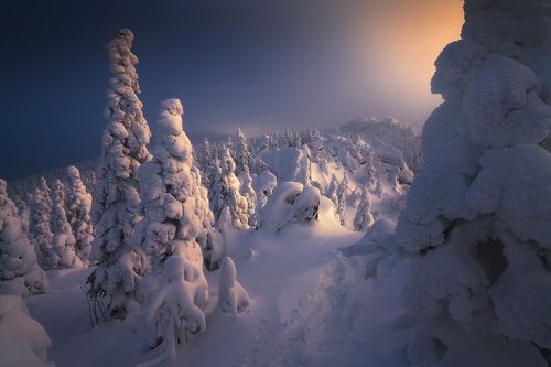 Приглашение в сказку