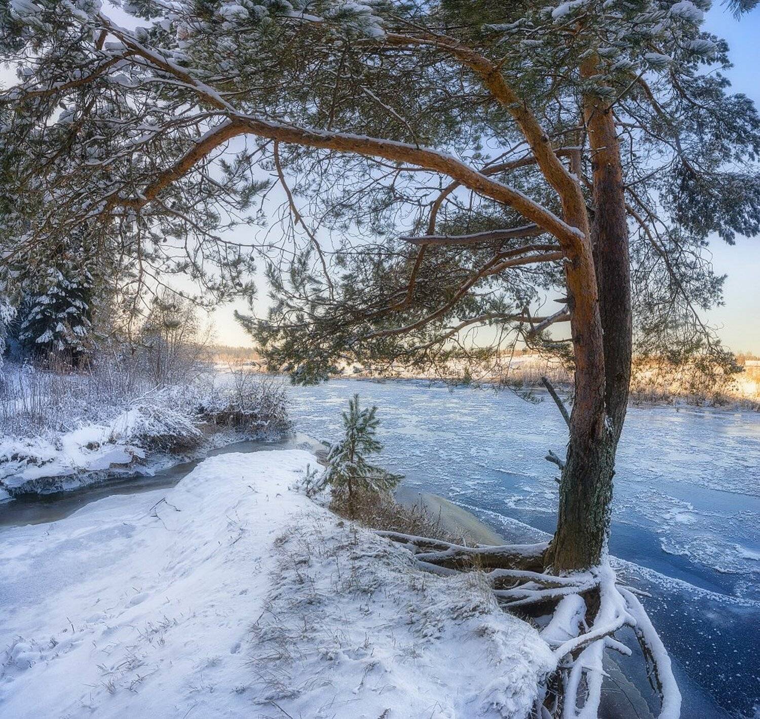 , Устюжанин Михаил
