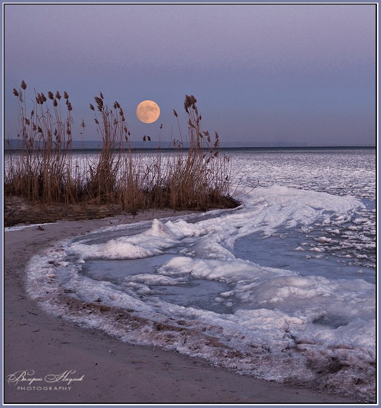 вечер, зима, полнолуние Вечер полной Луны фото превью