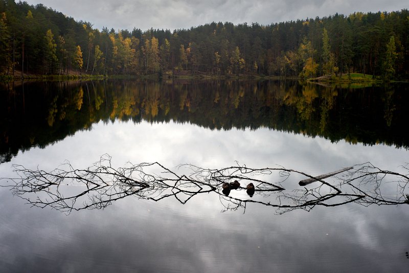 семиозерье, озеро, осень, утки  фото превью
