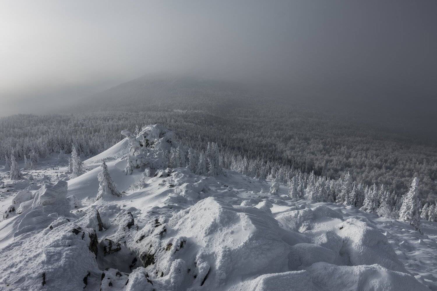 , Андрей Шарапов