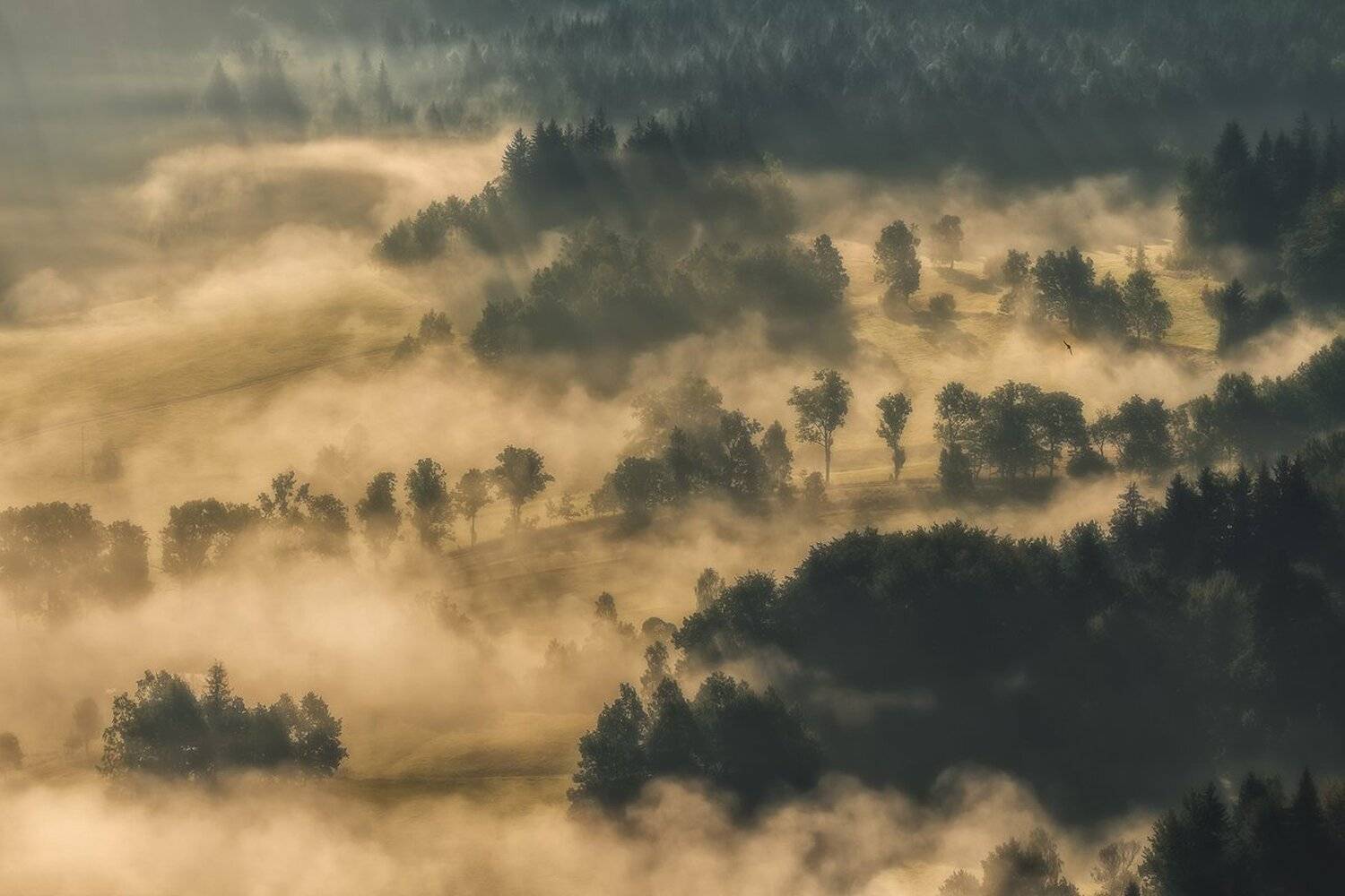 autumn,mountains,canon,awakening, Iza i Darek Mitręga