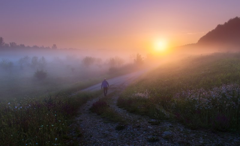 nature, landscape, spring, morning, sun, mist, fog, man, road, flowers Swelling spring фото превью